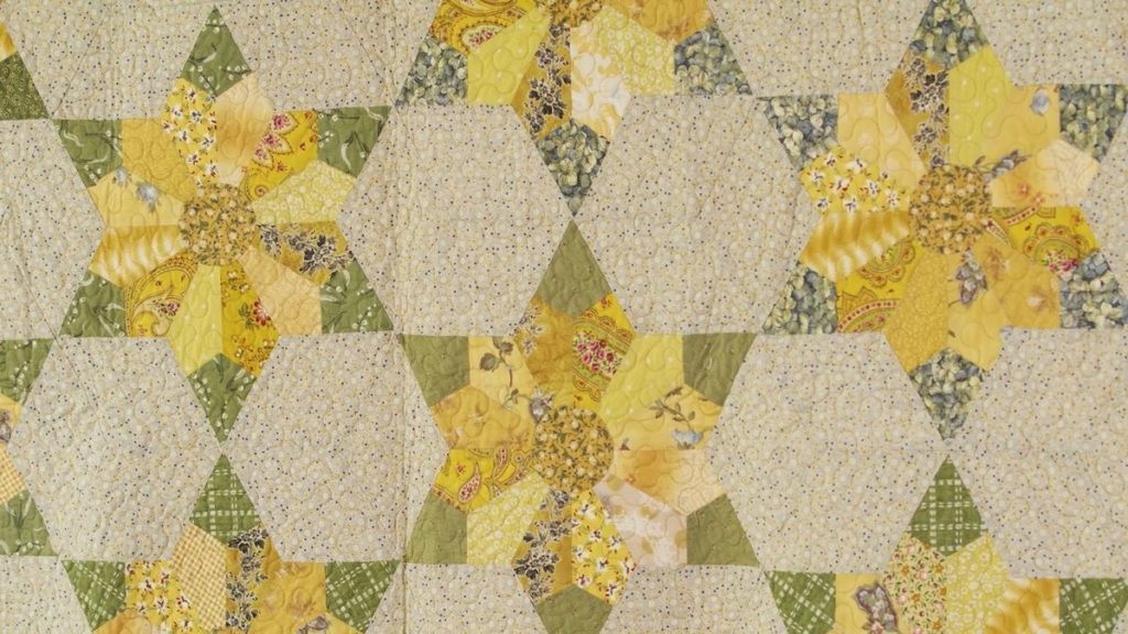 Hexagon Sunflower Block with Carolyn Forster